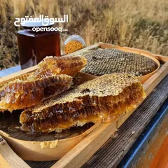  3 عسل اصلي مكفول والفحص