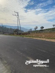  2 14 قطعة أرض في أجمل مناطق كفرنجه في عجلون