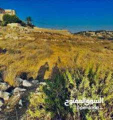  3 ارض للبيع في الجابريات