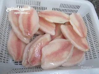  1 وسيط تجاري لتوفير الاسماك و اللحوم المجمدة