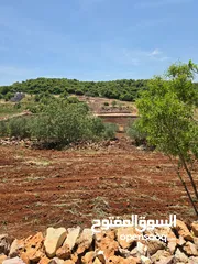  13 مزرعه 2 دونم مزروعه موقع مميز جدا  من مالك مباشر