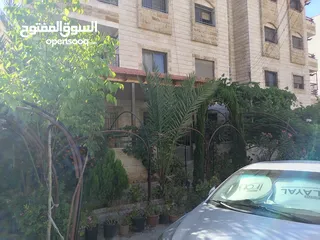  1 شقة ارضية للبيع