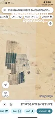  2 جنوب عمان الحمام الشرقي 10 دونم