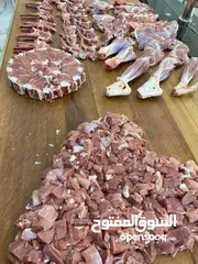  2 غنم روماني بلدي اسباني