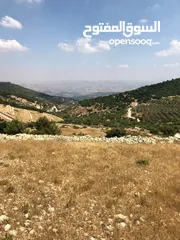  14 فرصة استثمارية! أرض زراعية مميزة بسعر مغري و بالقرب من أحراش الدولة للمزيد من المعلومات اقرأ الوصف
