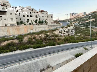  3 فرصة استثمارية شقة للبيع في رام الله الحي الدبلوماسي