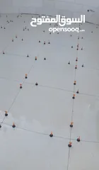  6 بليط يبحث عن عمل