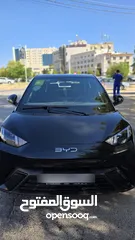  6 البطارية الكبيرة BYD Seagull 2024