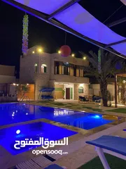  3 شليهت لليجار اليومي