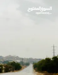  9 ارض مساحة 1600 متر مربع للبيع تصنيف أ في بلدة العوجا الهادئة الجميلة