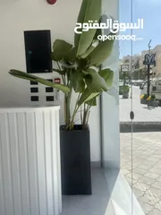  4 ديكور محل فساتين للبيع
