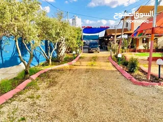  15 الكنز الأخضر في دير غزالة – منتجع فاخر بموقع استراتيجي
