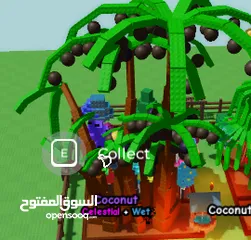  5 حسب بلوكس بمقبل  روبوكس