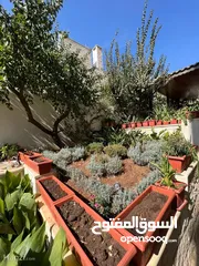  7 شقة دوبلكس فخمة للبيع في خلدا ( Property ID : 30080 )