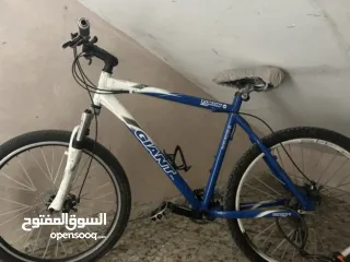  14 كل المعلومات مكتوبه تحت