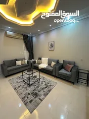  2 Furnished apartment for rent
