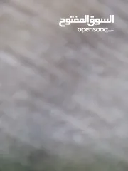  2 تلفون انفنكس نضيف معه سماعه اصليه ايربوت وشاحن اصلي 15 دينار نهايته