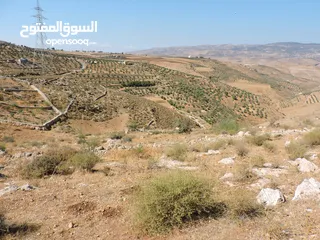  11 أجمل اطلالات جلعد-قوشان مستقل