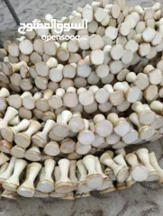  2 مجموعة متنوعة من الالات الموسيقية من الجلد الطبيعي وشغل يدوي 100%