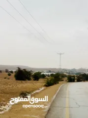  8 ارض مساحة 1600 متر مربع للبيع تصنيف أ في بلدة العوجا الهادئة الجميلة