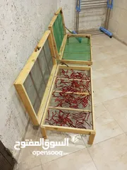  9 مناظر مصنوعه من خشب السويد للمنازل و للحدائق