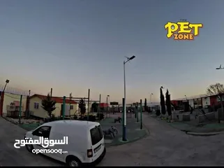  6 فندق ومركز تدريب للكلاب