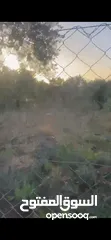  2 ارض مميزه وجاهزه