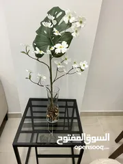  9 Luxury 1BHK flat for Rent in  shatti Al qurum at Bariq Al shatti building