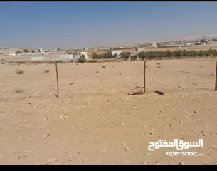  2 قطعة أرض 4 دونم و 632 متر في بلعما منطقة الزيتونه