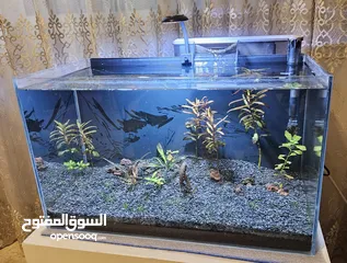  3 حوض سمك كريستال