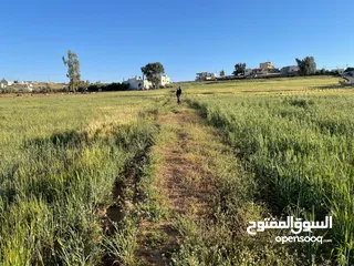  1 ارض للبيع الزنيه الزيتونه