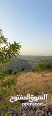  4 فيلا راقيه جدا موقع خرافي على قمه جبل مصيف رقم 1 ذات خصوصه عاليه