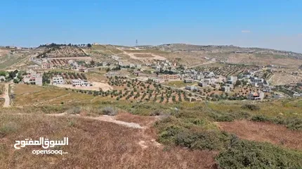  10 أرض  سكنية  مطلة  للبيع  في أم رمانة - 900 م عن شارع الأردن بإطلالة مميزة