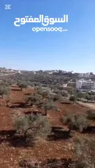  8 شقة للبيع في جنين (ضاحية الزيتونة) بسعر مغري من المالك مباشرة