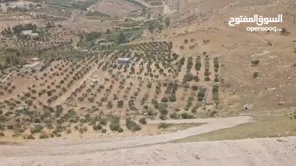  5 ارض للبيع في وادي شعيب