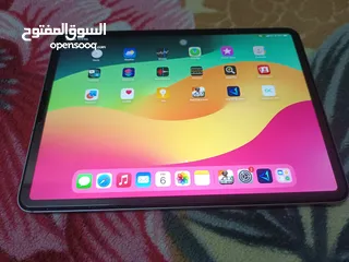  4 Ipadpro M2 11inch 512gb WiFi+5g