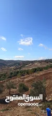  17 10 دونم موقع خرافي قمه جبل منطقه فلل و قصور عاليه و كاشفه عبين
