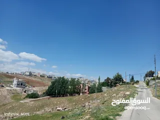  16 ارض للبيع 1 دونم غرب عمان الدمينة خلف الظهير وخلف مسجد العاشوري غرب عمان