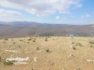  9 قطعة ارض 3دونمات ونصف فقط  مطلة ومرتفعه واصل جميع خدمات شرق جرش دحل