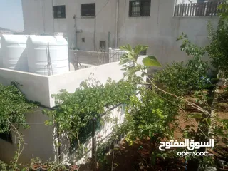  16 منزل مستقل جرش اسكان عجرمه  3غرف نوم 2حمام  صاله مع مطبخ امريكي  بلكونه  حديقه مساحه الارض 305