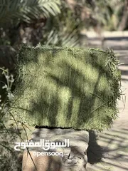  4 جت امريكي بالخصوص الخيول و جمال السباقات american alfalfa hay for horses and racing camels