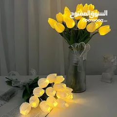  2 اكسسوارات وجنط ومكات