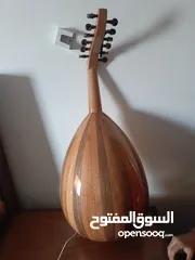  2 عود زرياب نظيف