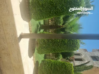  3 fully furnished ground floor with huge garden and terraces,,separate entrance ..