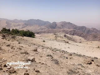  1 ارض ذو اطلاله تصلح الا بناء مزارع  او منتجع سياحي