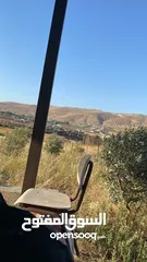  5 قطعه ارض في النصاريه