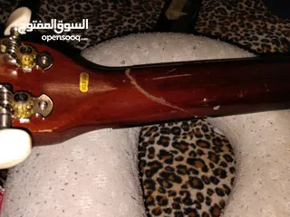  6 جيتار اصلي تايوني