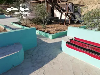  13 مزرعه للبيع