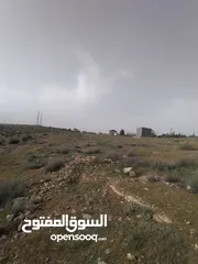 5 3600م للبيع رحاب بني حسن مرتفعه ومطله ع طريق اريد الزرقاء من المالك مباشره