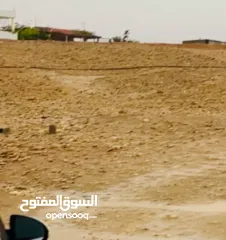  10 ارض مساحة 1600 متر مربع للبيع تصنيف أ في بلدة العوجا الهادئة الجميلة